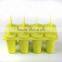 Hot sell food grade plastic ice cream mold