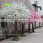 BLS014-6 GNW artificial tree cherry flower 10ft white color for reception decoration