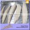 Double Clean Halal Seafood Top Quality Frozen Cooked Tuna Loin