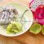 Cheap price Kitchen Tool Multifunction Plastic Fruit Corer and Slicer