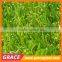 Best Landscaping&Decking Artificial Grass Popular in Japan