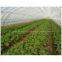 Single-Span Agricutural Greenhouse