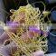 cording coiling taping computerized embroidery machine beads string rolls