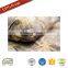 fireproof mattress cover memory foam mattress topper mattress wholesale suppliers