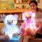Wholesale Four Colors 30cm,50cm,80cm Teddy Bear Stuffed Plush Shining LED Light Up Lighting electronic Soft Toys