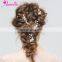 Amelie Regal Bridal Bridesmaid Tiara Headband Rose Porcelain Blossom Rhinestone Chain Opal Hair Vine Hair Pin Accessory