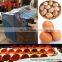 Chicken egg classifying machine/ Automatic Packing Egg Grading Machine