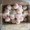 eco-friendly products wool dryer balls animal