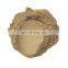 Used for Lithium Battery Electrode Material Silicon Nanoparticles Price Nano Silicon Powder