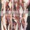 land frozen squid tip indian ocean squid tail
