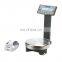 BLS-P Series [0.1g] Paint-mixing Balances