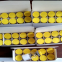 99%puritypeptidept141bremelanotidept-141pt141 CAS NO.189691-06-3,  big bar +86-15188850508