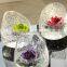 wholesale clear glass vases / terrarium wedding table decorations                        
                                                Quality Choice