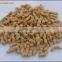 Full automatic textured soya protein TVP extruder machine