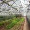 PC plastic greenhouse watering drip irrigation system