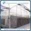 Large Multi Span Horticultural Plastic Green House