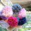 Party decoration& pom poms & peony flower ball