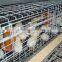poultry battery cage system for baby chick and grown chicken