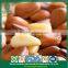 Direct Manufacturer Drop Ship Siberian Cedar Open Pine Nuts in Shell