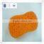 gross porosity car sponge