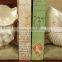 white seashell cute resin bookend for bookroom