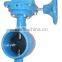 Butterfly Valve China Supplier