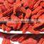 180-750 A grade dried gojiberry from ningxia