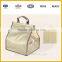 Sqare Shaped Insulated Clear Lunch Bag/cooler bag