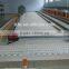 Chicken plastic slat floor/poultry farm flooring