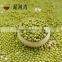 Sprouting Green Mung Bean and sale 2016 crop with high quality