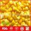 Vacuum packing frozen yellow corn kernels for wholesale