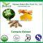 Natural Food Coloring Turmeric Root P.E.