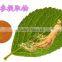 Ginseng extract 2% ISO, GMP, HACCP, KOSHER, HALAL certificated.