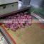 Microwave flower dryer and sterilization equipment