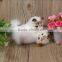 simulation animal Desk or car ornaments small rabbit fur cat