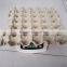 Australia best selling paper egg tray for 30 chicken eggs