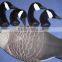 wholesale canada goose decoy for hunting, garden decorative goose mold,snow goose.floating decoys.