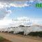 Tunnel Plastic Greenhouse for Agriculture Low Cost