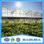 Agricultural Used Greenhouse Sale