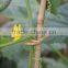 100pcs Per Bag Kraft Paper Twist Tie