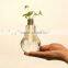 mini unique bulb light shape glass vase