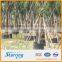 Root Control Barriers