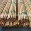 1200mm x 22mm varnished wooden mop handle