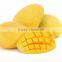 Mango flavoured fruits drink powder