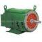 WEG Motor