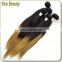 2015 Hot Beauty Hot Sell Wholesale Full Cuticle Colored Two Tone Virgin Brazilian Ombre Hair Weave