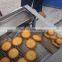 fully automatic biscuit production line