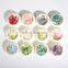 New Arrival 12 Colors Dried Flowers 3d Natural Gyps Nail Art Decorations