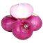 Fresh onion