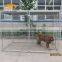Direct Factory Heavy Duty Fancy Dog Kennel Galvanized Outdoor Dog Kennels